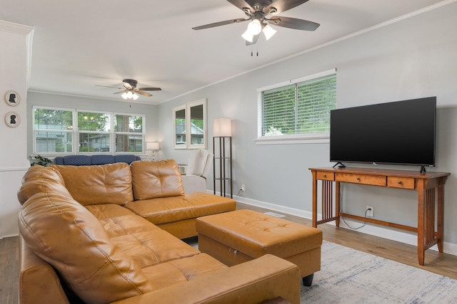 5407 Marion Ave, Chattanooga, TN 37412 - living room featuring a ceiling fan, crown molding, baseboards, and wood finished floors