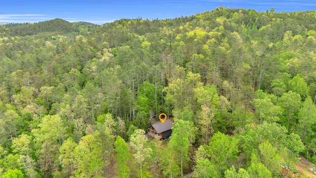 144 Hambright Rd, Reliance, TN 37369 - drone / aerial view featuring a view of trees