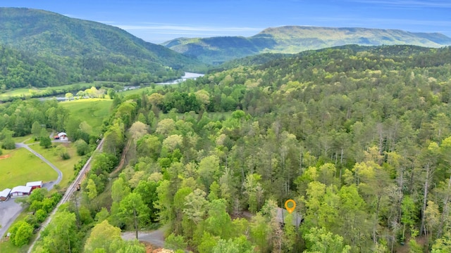 144 Hambright Rd, Reliance, TN 37369 - aerial view featuring a mountain view and a view of trees