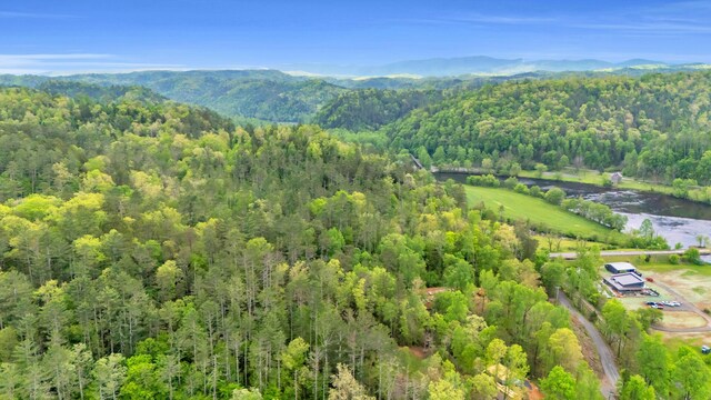 144 Hambright Rd, Reliance, TN 37369 - bird's eye view with a wooded view and a water and mountain view