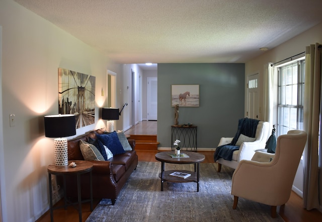 living room with a textured ceiling and wood finished floors
