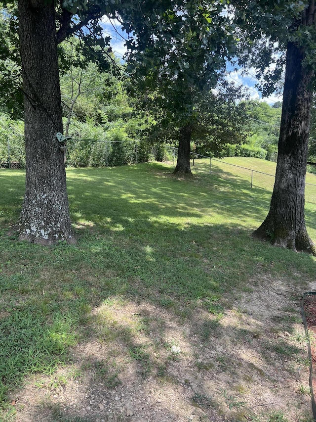2288 Edgmon Forest Ln, Chattanooga, TN 37421 - view of yard