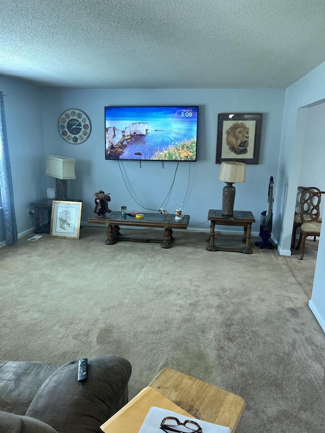 2288 Edgmon Forest Ln, Chattanooga, TN 37421 - living area with carpet and a textured ceiling