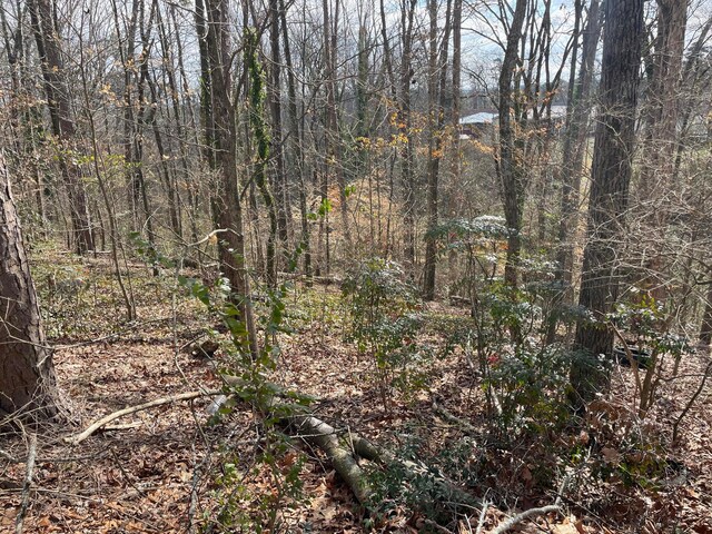 0 Mark Twain Cir, Chattanooga, TN 37406