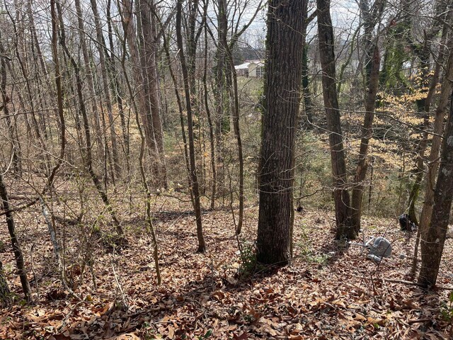 0 Mark Twain Cir, Chattanooga, TN 37406