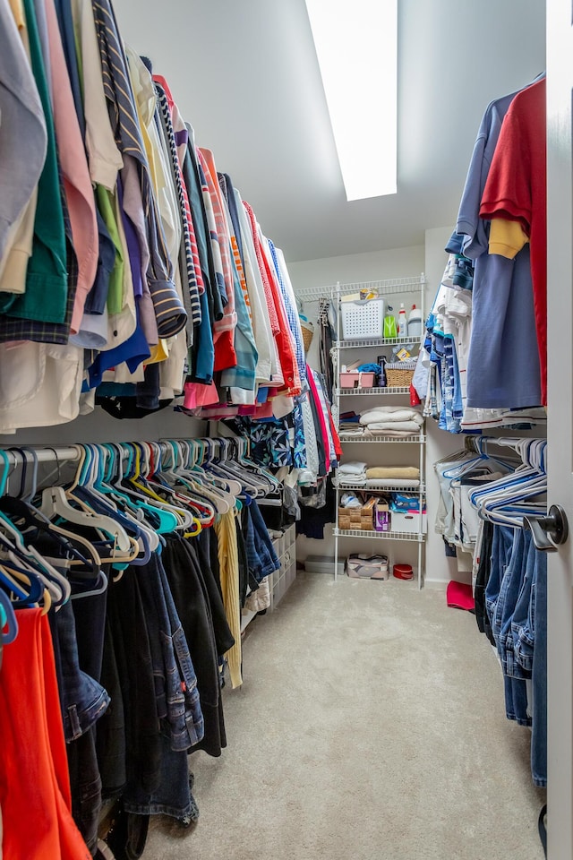spacious closet with carpet