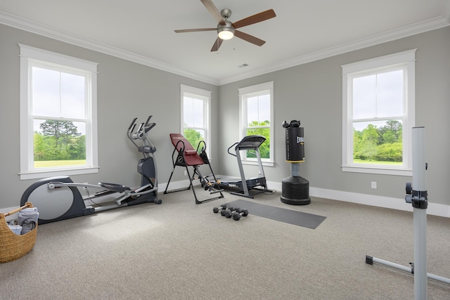 2419 Welch Rd, Soddy Daisy, TN 37379 - workout area with baseboards, ornamental molding, ceiling fan, and carpet flooring