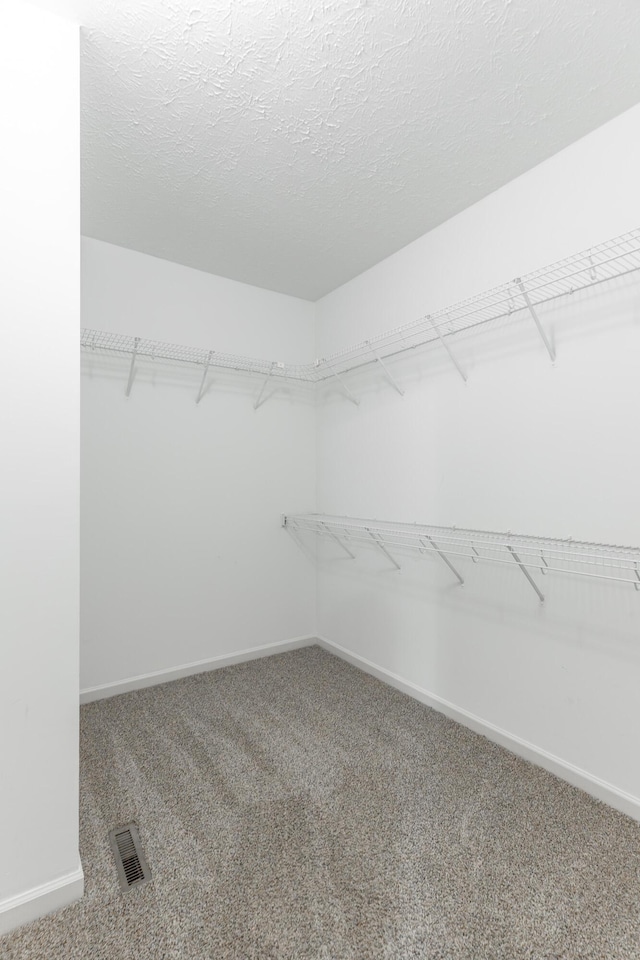 walk in closet featuring visible vents and carpet floors