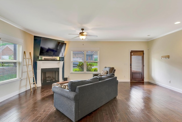 2835 Fernleaf Ln, Chattanooga, TN 37421 - living room featuring plenty of natural light, ceiling fan, ornamental molding, and dark wood-style flooring
