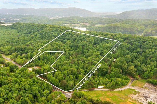 000 Reed Rd, Dalton, GA 30720