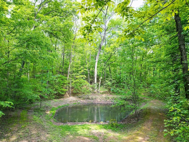 water view with a wooded view