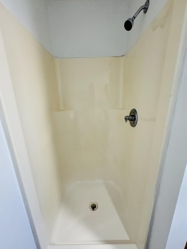 full bathroom featuring a shower