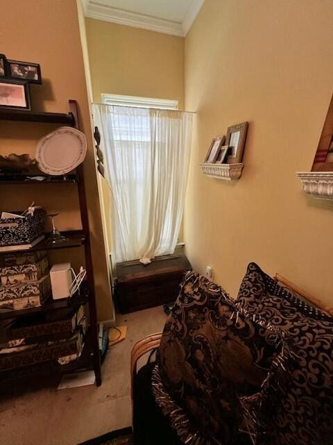 bedroom with carpet and crown molding