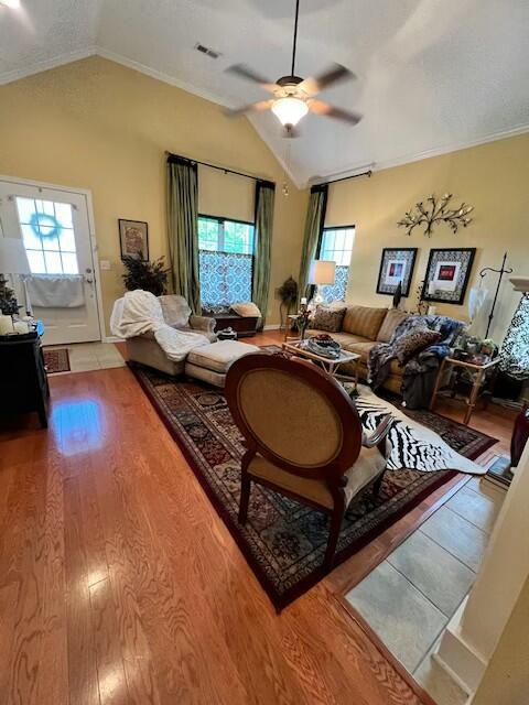 living area featuring ceiling fan, vaulted ceiling, and a wealth of natural light