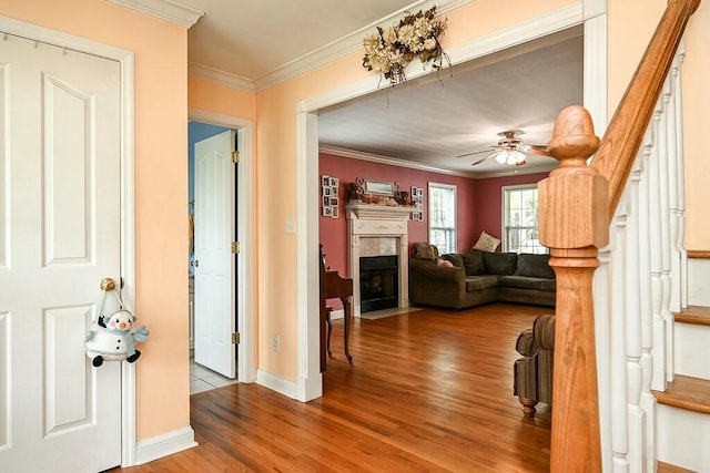 entrance foyer with a fireplace with flush hearth, a ceiling fan, baseboards, ornamental molding, and wood finished floors