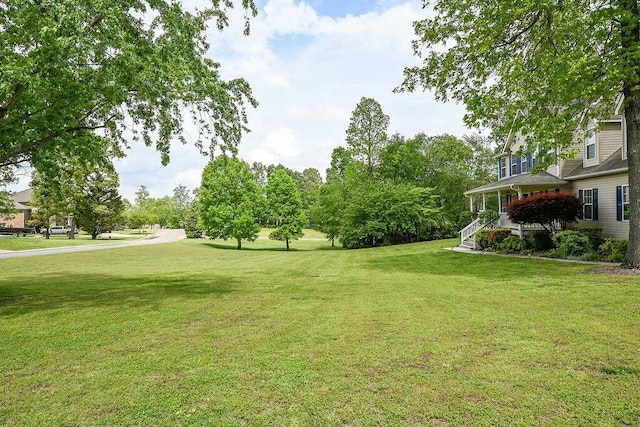 view of yard