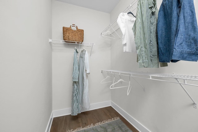 walk in closet featuring wood finished floors