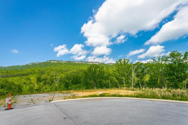 485 Woodland Dr, Jasper, TN 37347 - view of road with a forest view