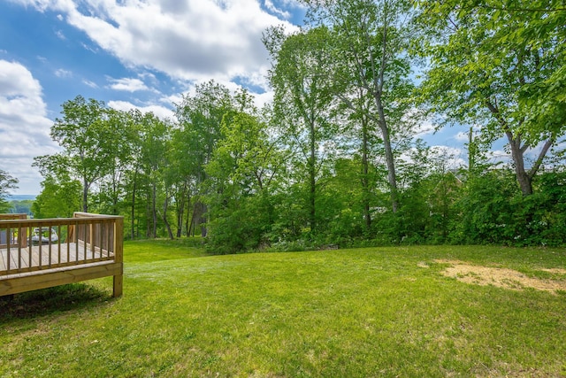 485 Woodland Dr, Jasper, TN 37347 - view of yard with a wooden deck