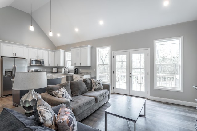 485 Woodland Dr, Jasper, TN 37347 - living room with french doors, light wood finished floors, a healthy amount of sunlight, and high vaulted ceiling