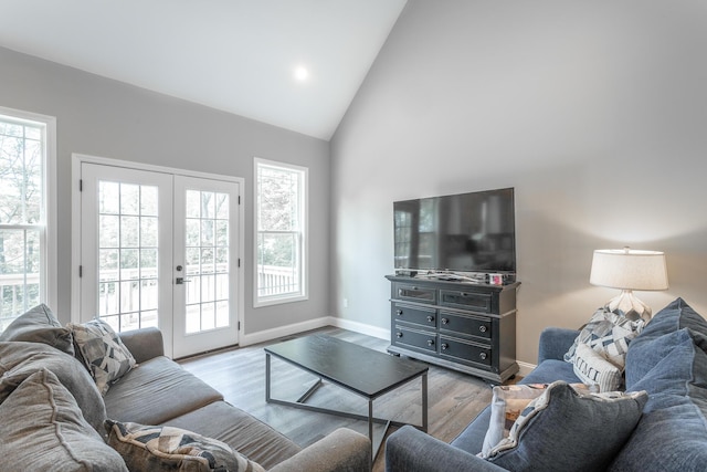 485 Woodland Dr, Jasper, TN 37347 - living room featuring baseboards, french doors, high vaulted ceiling, and wood finished floors