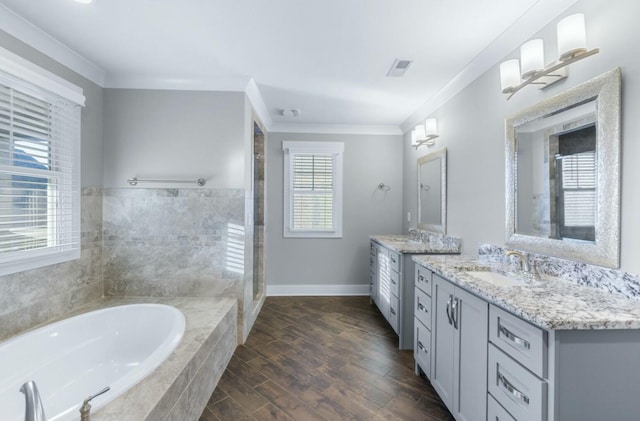8520 Winter Refuge Way, Ooltewah, TN 37363 - bathroom featuring a wealth of natural light, a garden tub, ornamental molding, and a sink