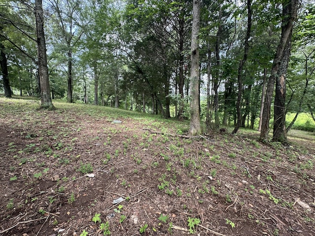 57 Captains Way, Jasper, TN 37347 - photo 52
