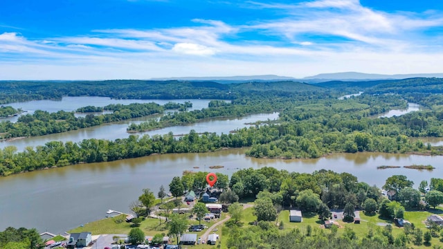 bird's eye view with a view of trees and a water and mountain view