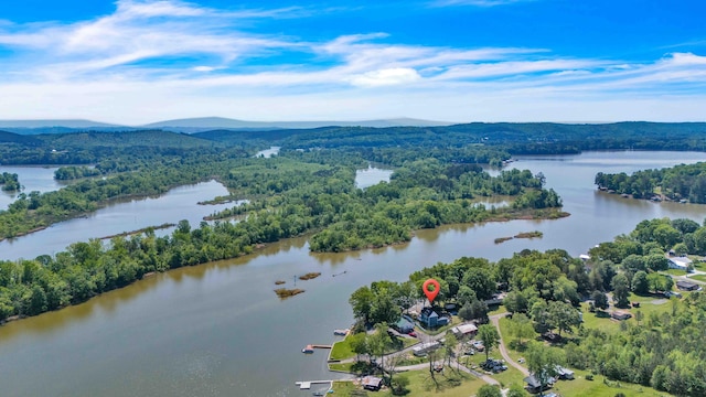 aerial view with a water and mountain view and a view of trees