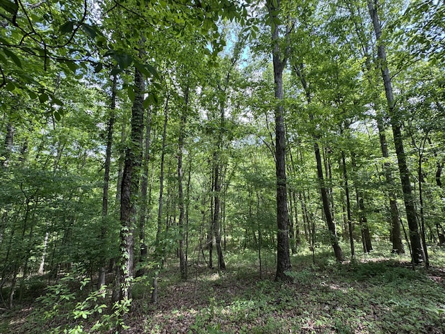 160 Scenic Cir, Ringgold, GA 30736