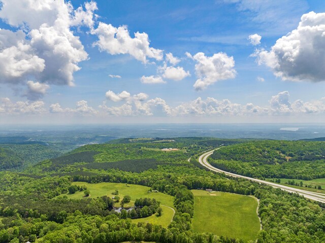 13111 Jones Gap Rd, Soddy Daisy, TN 37379 - drone / aerial view of a forest