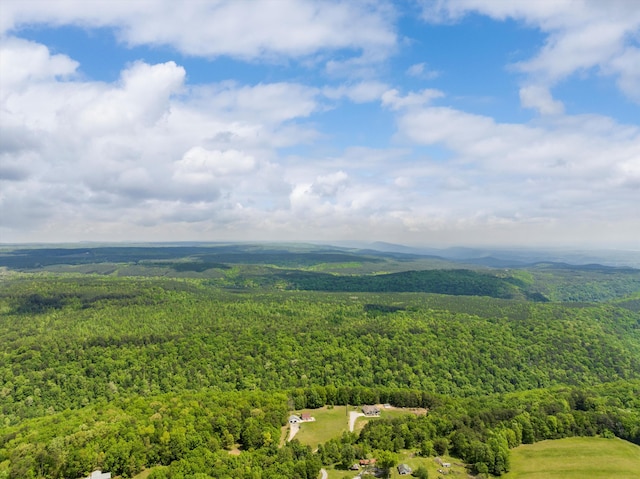 13111 Jones Gap Rd, Soddy Daisy, TN 37379 - drone / aerial view of a forest