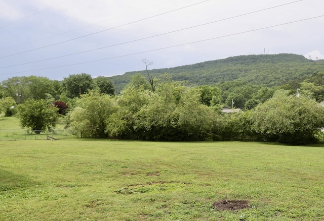 3421 Franklin Dr, Chattanooga, TN 37419 - view of yard