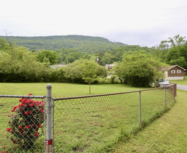 3421 Franklin Dr, Chattanooga, TN 37419 - view of yard