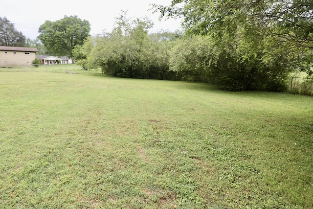 3421 Franklin Dr, Chattanooga, TN 37419 - view of yard