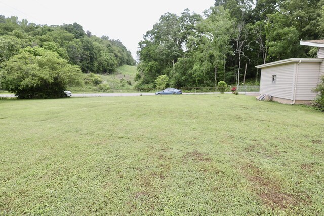 3421 Franklin Dr, Chattanooga, TN 37419 - view of yard