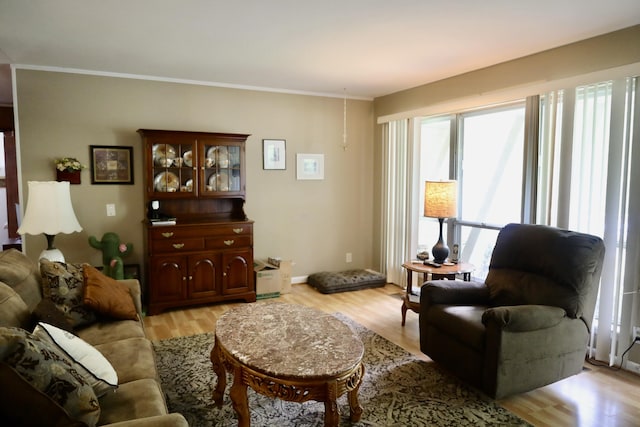 3421 Franklin Dr, Chattanooga, TN 37419 - living room featuring light wood-style flooring and ornamental molding