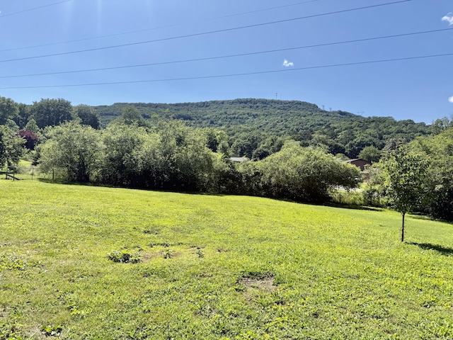 3421 Franklin Dr, Chattanooga, TN 37419 - mountain view