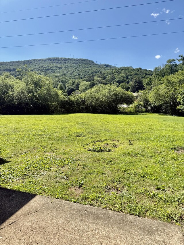 3421 Franklin Dr, Chattanooga, TN 37419 - view of mountain background