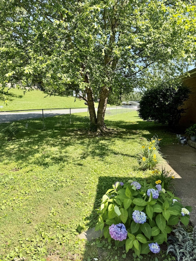 3421 Franklin Dr, Chattanooga, TN 37419 - view of yard
