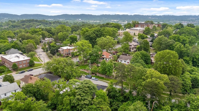 835 Tremont St, Chattanooga, TN 37405 - photo 40