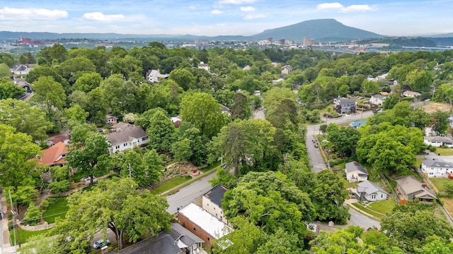 835 Tremont St, Chattanooga, TN 37405 - photo 42