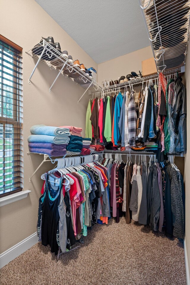 745 Soaring Eagle Cir, Hixson, TN 37343 - walk in closet with carpet floors