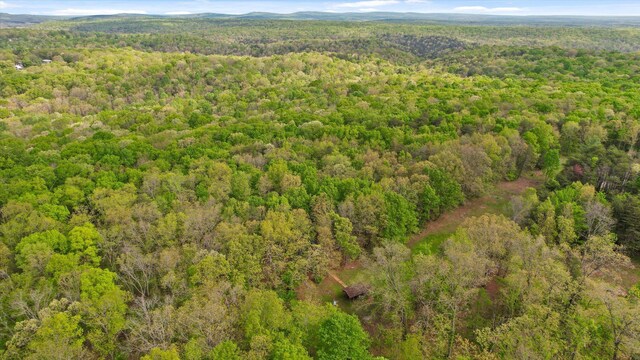 6475 Polly Ln, Signal Mountain, TN 37377 - bird's eye view of a heavily wooded area