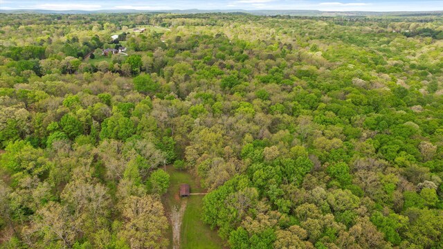 6475 Polly Ln, Signal Mountain, TN 37377 - drone / aerial view of a heavily wooded area