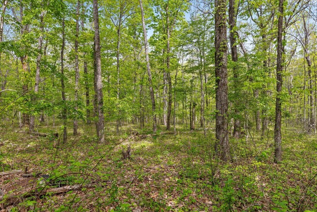 6475 Polly Ln, Signal Mountain, TN 37377 - view of tree filled area