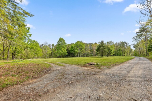 6475 Polly Ln, Signal Mountain, TN 37377 - view of dirt / gravel road with a wooded view