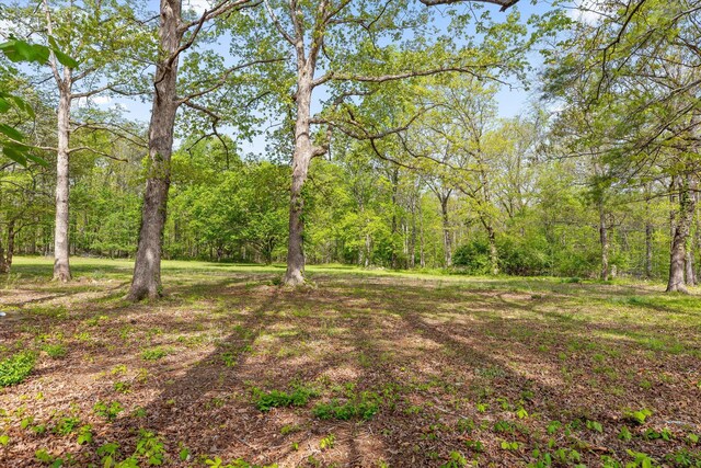 6475 Polly Ln, Signal Mountain, TN 37377 - view of yard featuring a forest view