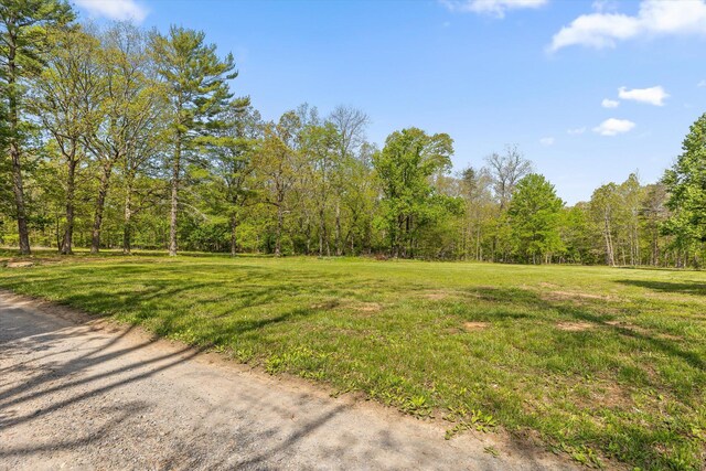 6475 Polly Ln, Signal Mountain, TN 37377 - view of grassy yard featuring a wooded view