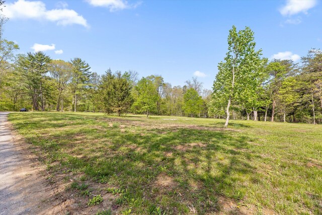 6475 Polly Ln, Signal Mountain, TN 37377 - view of grassy yard with a forest view
